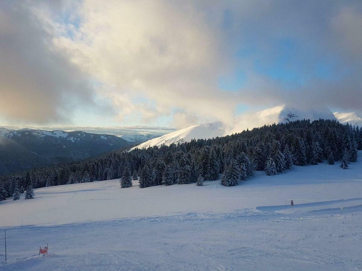 Praz-du-Soleil F3 Lejlighed Les Gets Eksteriør billede